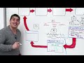 Cell Biology | Cell Cycle: Interphase & Mitosis