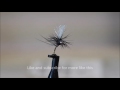 Parachute black gnat (flytying tutorial)