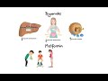 Pharmacology - DRUGS FOR DIABETES (MADE EASY)