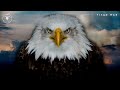 The Eagle Attitude (EAGLE MINDSET) Best Motivational Video