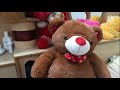 Chow Chow React to his surprise gift a teady bear // sultan chow life