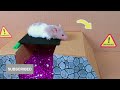 DIY New Halloween Hamster Maze 🎃 Hamster Escapes