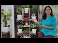 7 tier new plant stand | New plant stand | plant stand for balcony | paudhe ke liye stand | planter