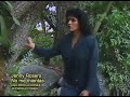 NO ME MIENTAS - JENNY ROSERO ( Video oficial )