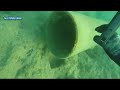 Amazing Giant Octopus Fishing Diving Skill - Fastest Giant Octopus Catching and Processing on Sea