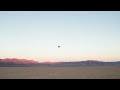 Annoying a bird by drone with overly epic music