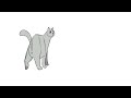 Cat Study Animation + Mini Process