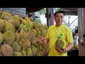 Musang Durian King！Durian cutting skills, Durian Harvesting / 貓山王！榴槤切割技能, 榴槤採收