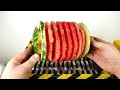 SHREDDING WATERMELON and Other Vegetables !! - THE SHREDDER SHOW - EXPERIMENT AT HOME
