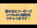 雨の日のコーギーズ！家の中で格闘技大会！