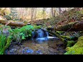 Relaxing waterfall | Deep sleep meditation music