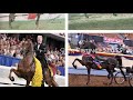 Two Vastly Different Sides of A Coin | The Morgan And Saddlebred