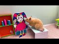 Recues Hamster Escape Kingdom of Teeth With Pomni in Poppy Playtime by Sun Hamster