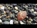 Finding Agates on the Beach