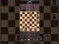 AVG chess player 🆚️  Expert level