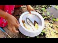 Fishing Video || Learning fishing techniques from village boys and girls will be useful in future