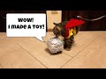 Cat Superhero vs Invisible, Foil and Box Challenges