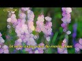 Best 100 Morning Worship Songs All Time 🙏 Top Praise and Worship Songs 2023 ~ 2024 Playlist