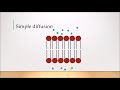 Physiology | Transport across the cell membrane | Simple Diffusion