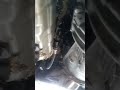 Clutch fluid leaking - BMW 4-Series