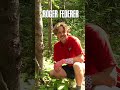 Meeting Roger Federer in the Woods