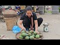 Single mother : Harvest mangoes and sell them at the market