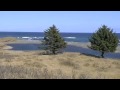 Fossil Beach, Kodiak