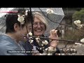 Tourists try their hand at ShodoーNHK WORLD-JAPAN NEWS