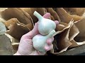 Harvesting and curing GARLIC for LONG-TERM storage