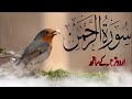 SURAH RAHMAN TARJUMA KE SATH QARI AL SHAIKH ABDUL BASIT ABDUL SAMAD Part 07