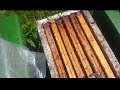 Bienenableger,  Imkerei und Natur mit Josef XX