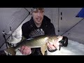 Mud Flat WALLEYES! Ice Fishing with UNDERWATER Camera (Mille Lacs Lake)