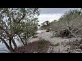 Biolab Road, midway. Merritt Island National Wildlife Refuge, Florida