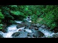 Beautiful Forest River Flowing Sound, Mountain River, Relaxing Nature Sounds, Sleep, Relax