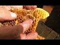 Huge Honey Bee Infestation That Tested My Skills
