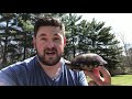 Box Turtle Facts!