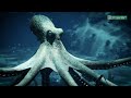 Aliens of the Deep: Decoding Octopus Anatomy!