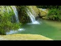 Nature Sounds: Stream Sounds & Relaxing Music for Healing, Stress Relief, Alleviating Anxiety