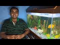 Which filter best for aquarium & how to choose best aquarium filter