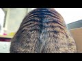 Cat's Hair Layers