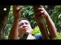 Bamboo house on a tree - Survival skills - Survival alone - Part 02 | WZ.06