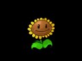 sunflower | Randominator