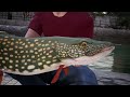 Fishing Sim World Dark green Pike kunstaas