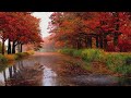 Sounds Of Rain And Thunder with Beautiful Guitar Solo ,Rain Sounds For Relaxing Your Mind And Sleep