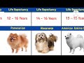 Dog Breeds with longer life expectancy || What dog breed lives the longest ?