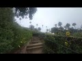 Your glutes & thighs & heart & lungs LOVE beautiful beach stairs ❤️