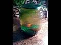 The fish bowl jar challenge.