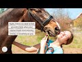 5 Ways Your Horse Says “I Love You” | Mittens and Max