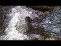 Rock Creek falls 4