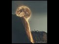 Moon Rox - Liquid Light (audio) (archive)